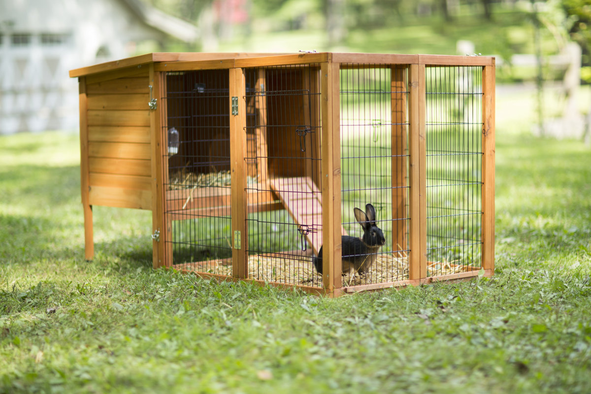 Prevue Hendryx Rabbit Hutch & Reviews Wayfair